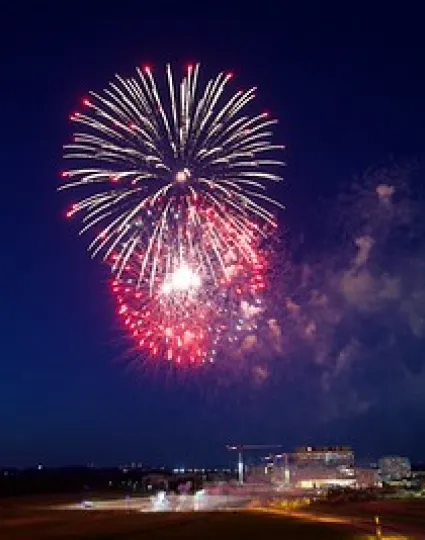 Fireworks exploding in the night sky