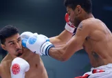 2018 Kickboxing