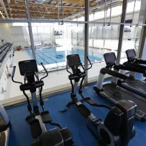 Stationary bikes and treadmills in a gym overlooking a pool. 