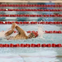 Swimmer swimming in lanes.