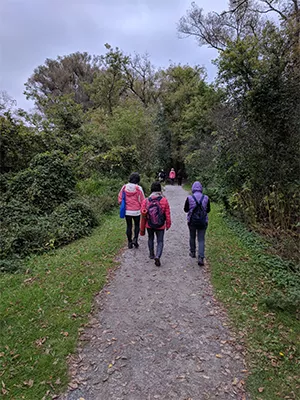 Shinrin Yoku trail Toogood Pond