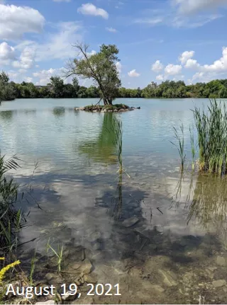 Swan lake, August 19 2021
