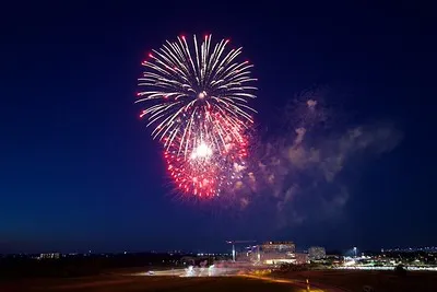 Fireworks exploding in the night sky